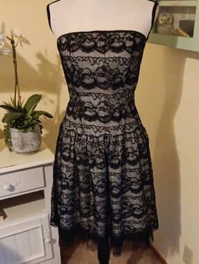 La Belle Strapless Lace Dress. Evening. Occasion. Prom